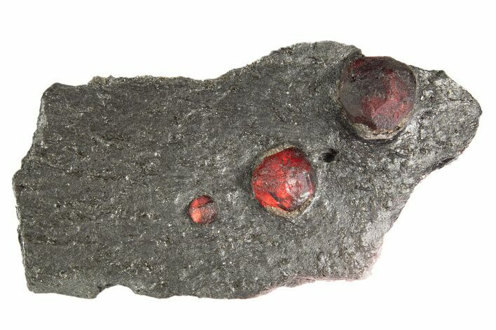 Plate of Three Red Embers Garnets in Graphite - Massachusetts #313473